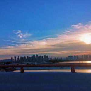 成人在线视频高清青青草
