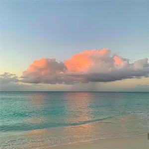 成人在线视频高清青青草
