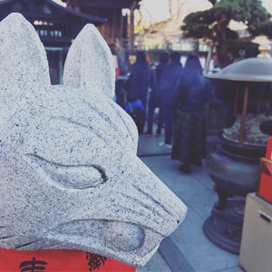 成人在线视频高清青青草
